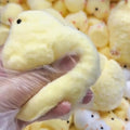 Chick Squishy