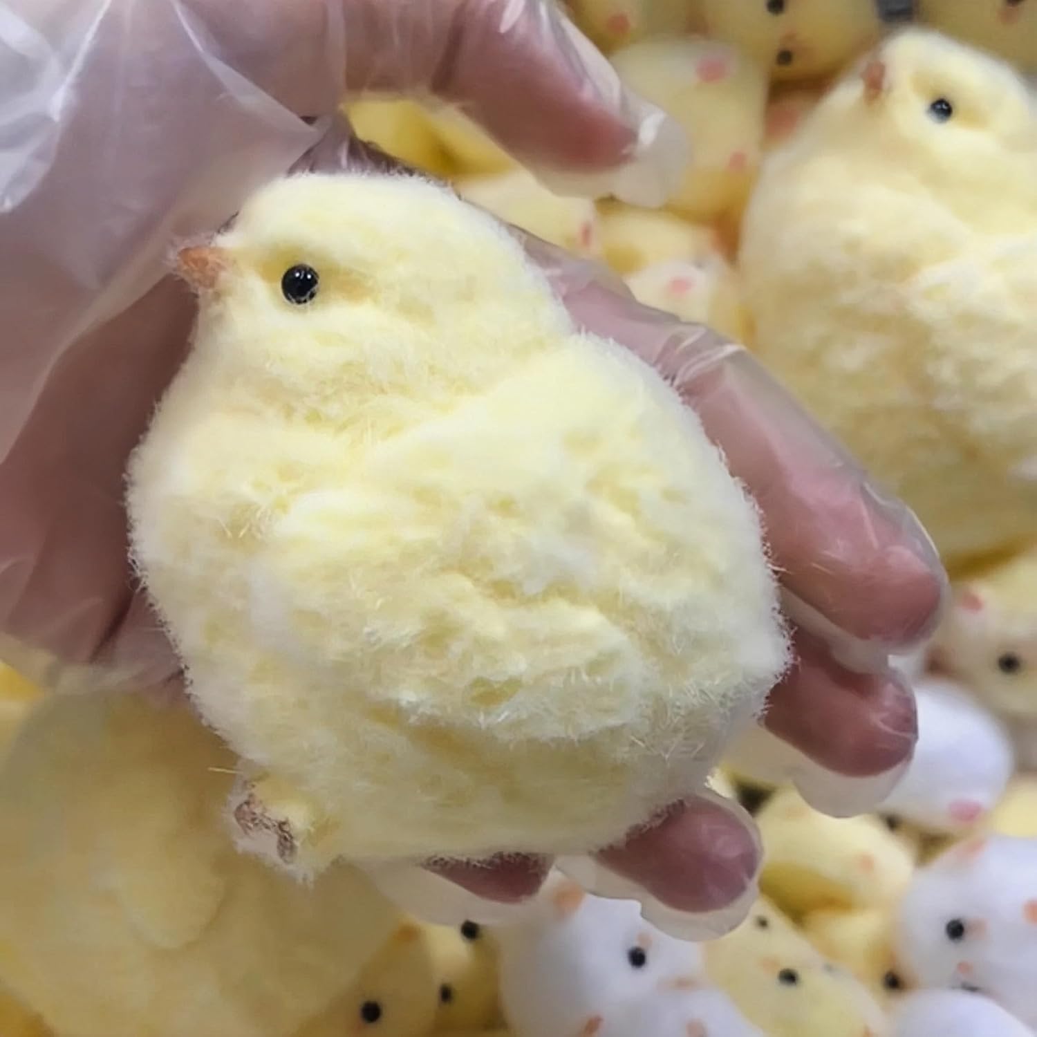 Chicken Squishy Toys