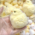 Taba Squishy Chick